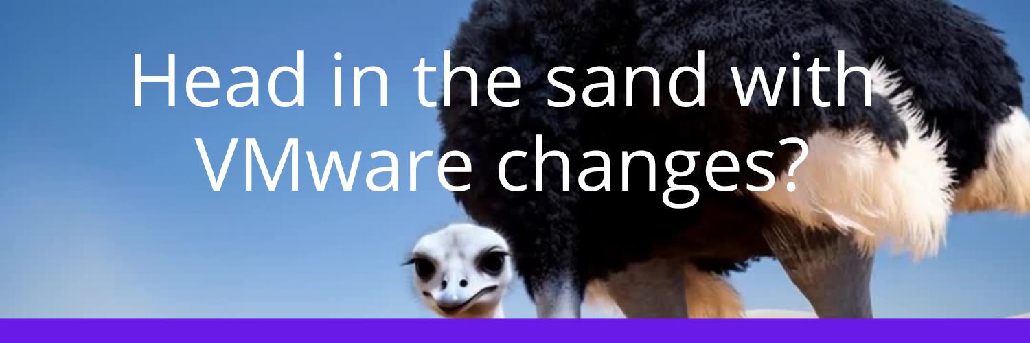 Head in the sand with VMware changes?