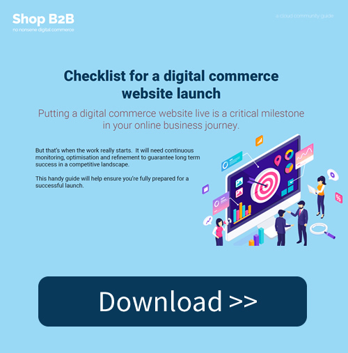 >Checklist for a digital commerce website launch