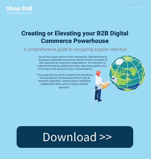 >Guide: Creating Or Elevating Your B2B Digital Commerce Powerhouse