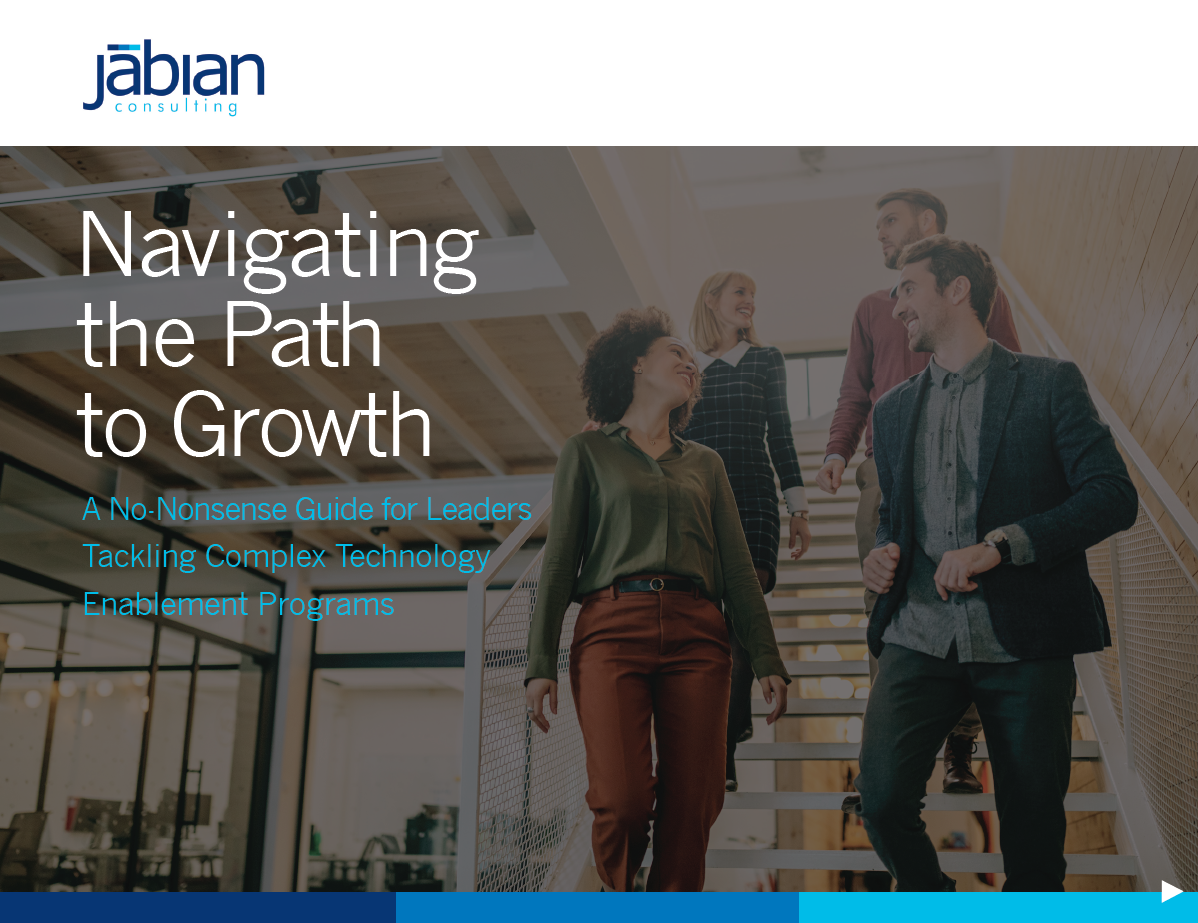 >Navigating the Path to Growth - A No-Nonsense Guide for Leaders Tackling Complex Technology Enablement Programs