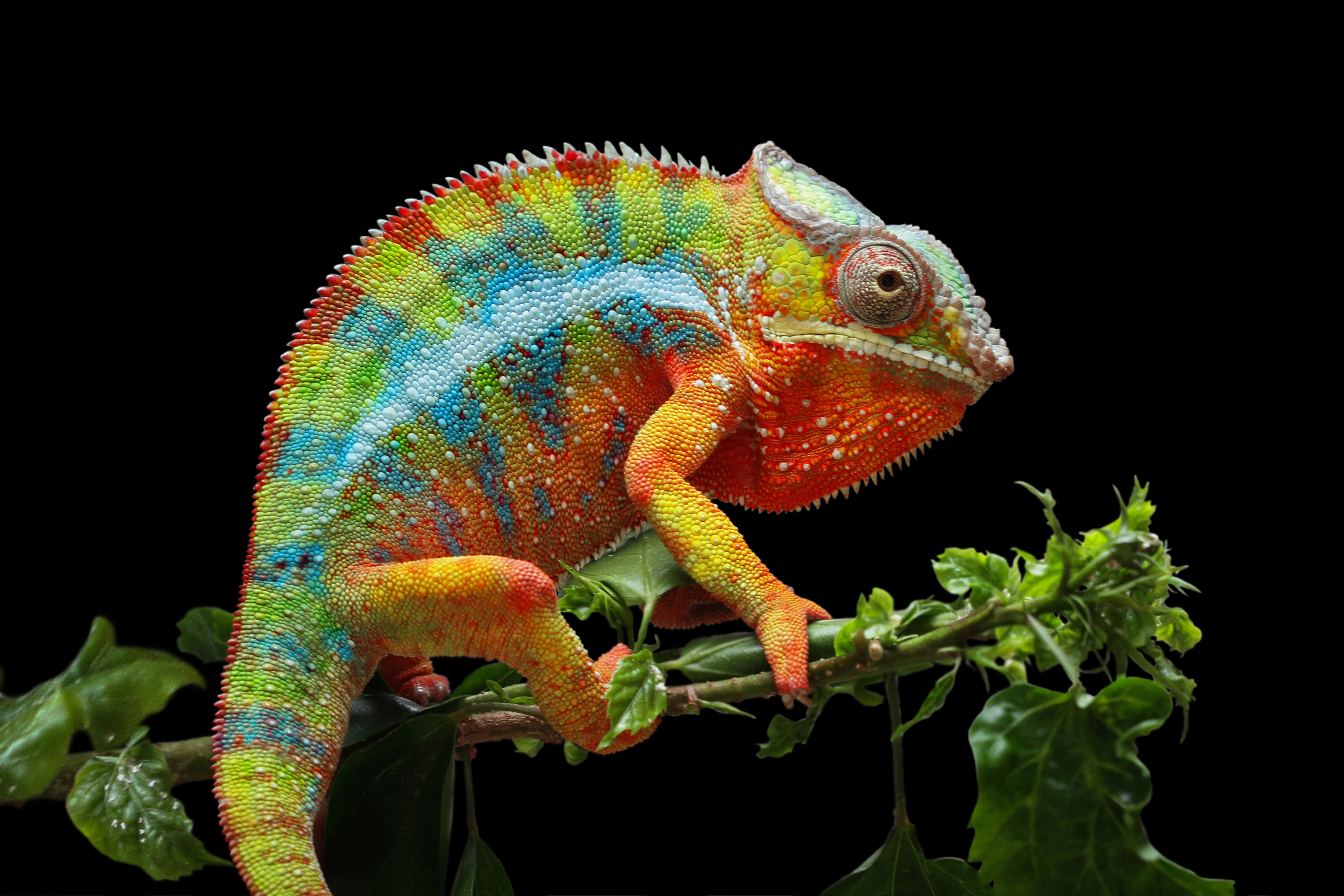 False positives: The silent drain on fraud teams